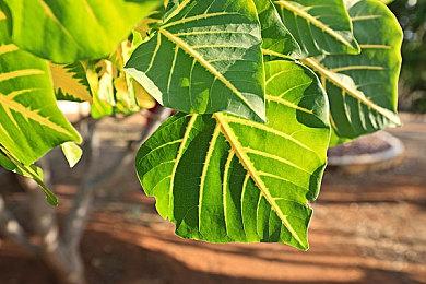 《黑暗世界 : 因与果》最新预告 2023年发售